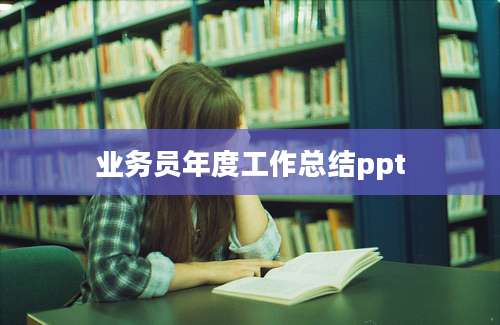 业务员年度工作总结ppt