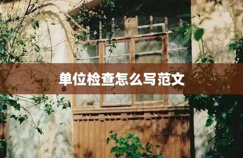 单位检查怎么写范文