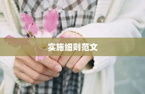 实施细则范文