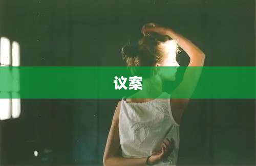 议案