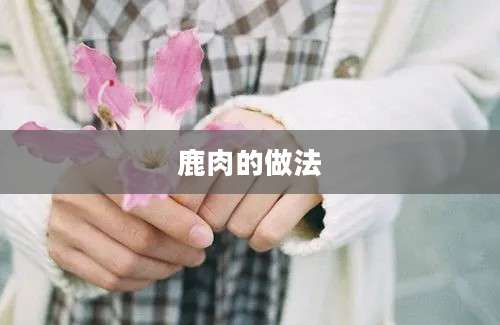 鹿肉的做法
