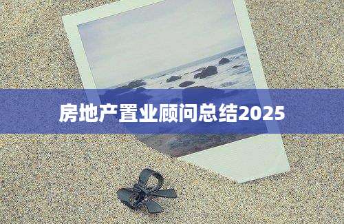 房地产置业顾问总结2025