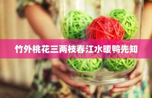 竹外桃花三两枝春江水暖鸭先知