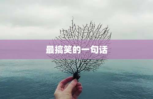 最搞笑的一句话