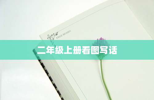 二年级上册看图写话