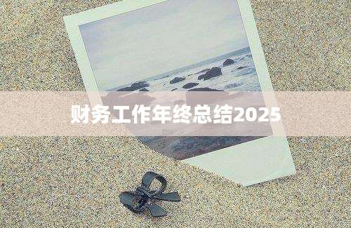 财务工作年终总结2025