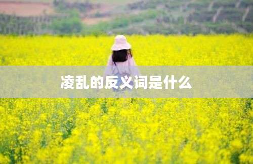 凌乱的反义词是什么