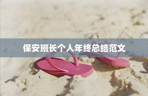 保安班长个人年终总结范文