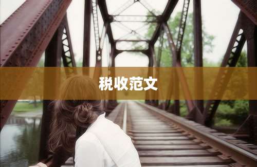 税收范文