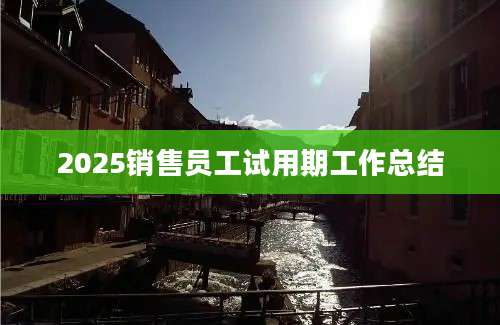 2025销售员工试用期工作总结