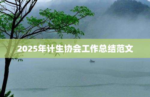 2025年计生协会工作总结范文