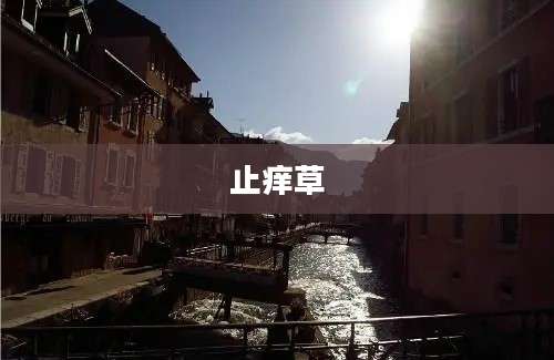 止痒草