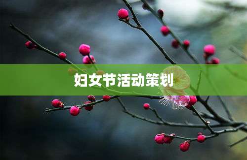 妇女节活动策划