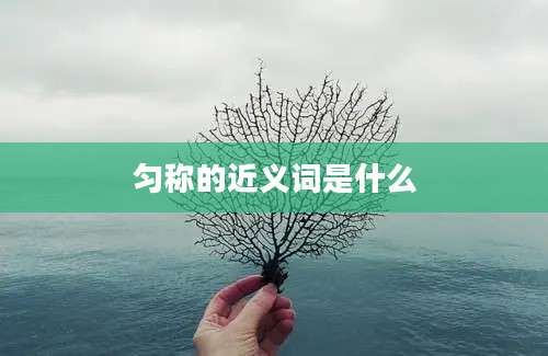 匀称的近义词是什么