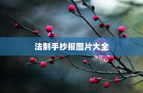 法制手抄报图片大全