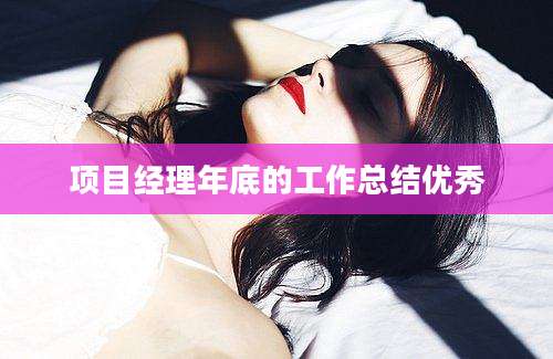 项目经理年底的工作总结优秀