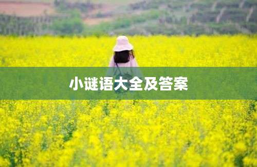 小谜语大全及答案