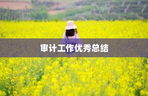审计工作优秀总结