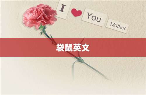 袋鼠英文