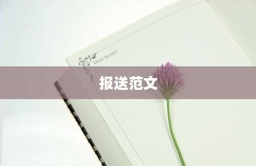 报送范文