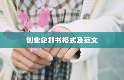 创业企划书格式及范文