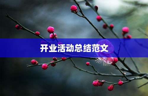 开业活动总结范文
