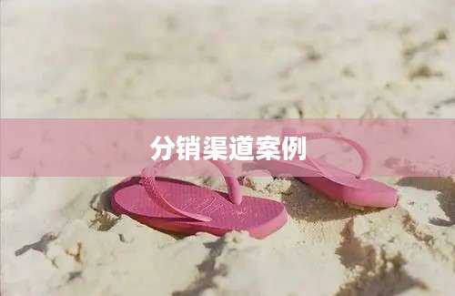 分销渠道案例