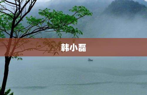 韩小磊