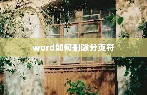 word如何删除分页符