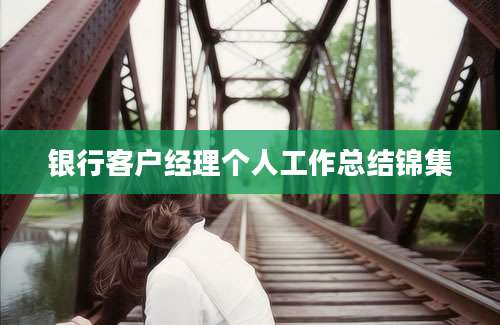 银行客户经理个人工作总结锦集