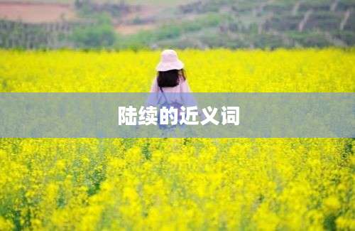 陆续的近义词