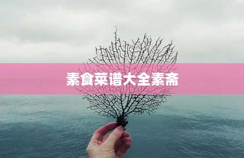 素食菜谱大全素斋