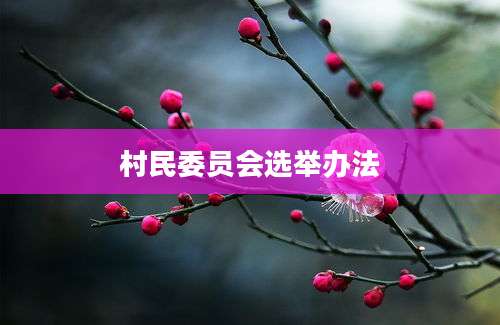 村民委员会选举办法