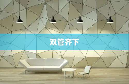双管齐下