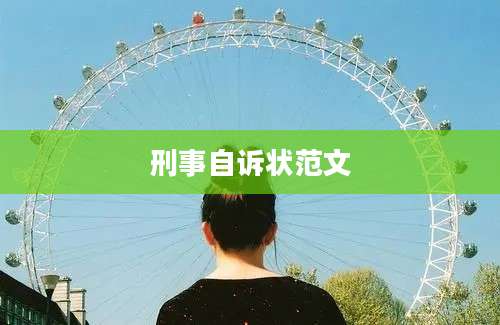 刑事自诉状范文