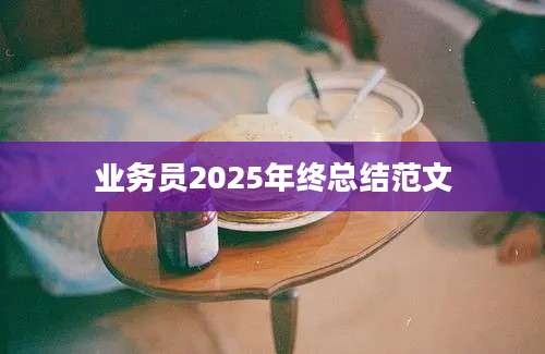 业务员2025年终总结范文