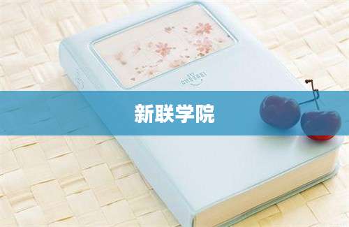 新联学院