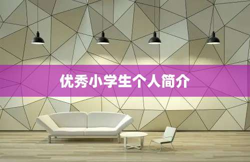 优秀小学生个人简介