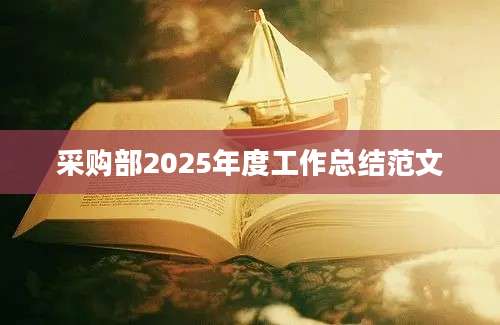 采购部2025年度工作总结范文