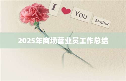2025年商场营业员工作总结