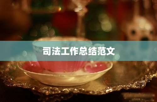 司法工作总结范文