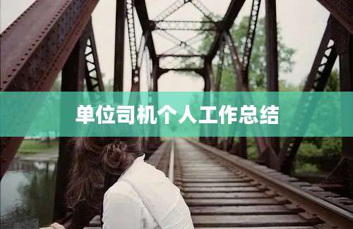 单位司机个人工作总结