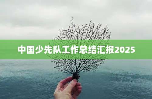 中国少先队工作总结汇报2025