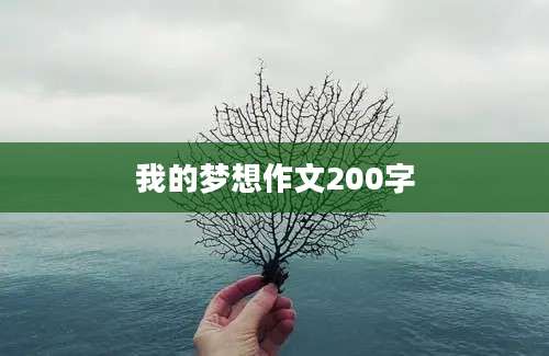 我的梦想作文200字