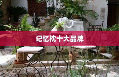 记忆枕十大品牌