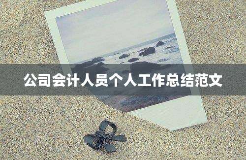 公司会计人员个人工作总结范文