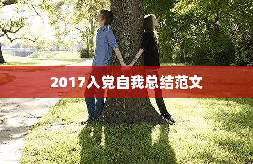 2017入党自我总结范文