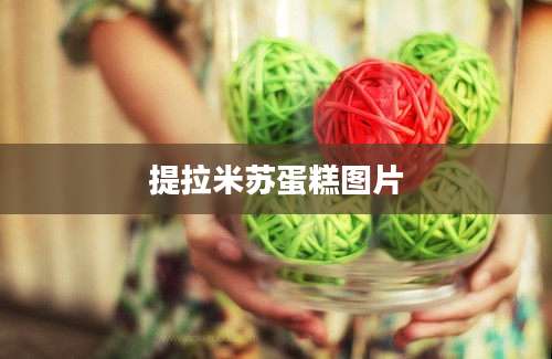 提拉米苏蛋糕图片