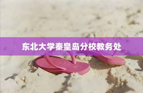 东北大学秦皇岛分校教务处