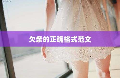 欠条的正确格式范文